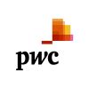 PWC audit